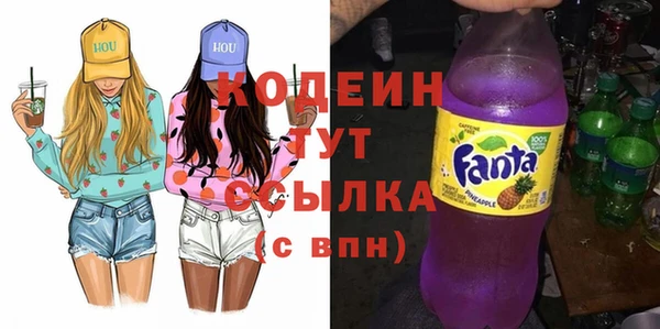 шишки Белокуриха